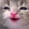 vmh